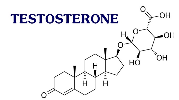 Hormone Testosterone rất quan trọng với sinh lý nam giới