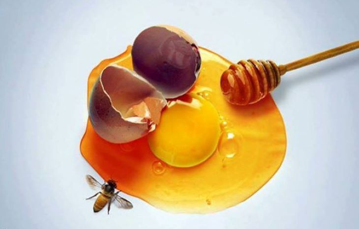Chữa xuất tinh sớm bằng mật ong và trứng gà