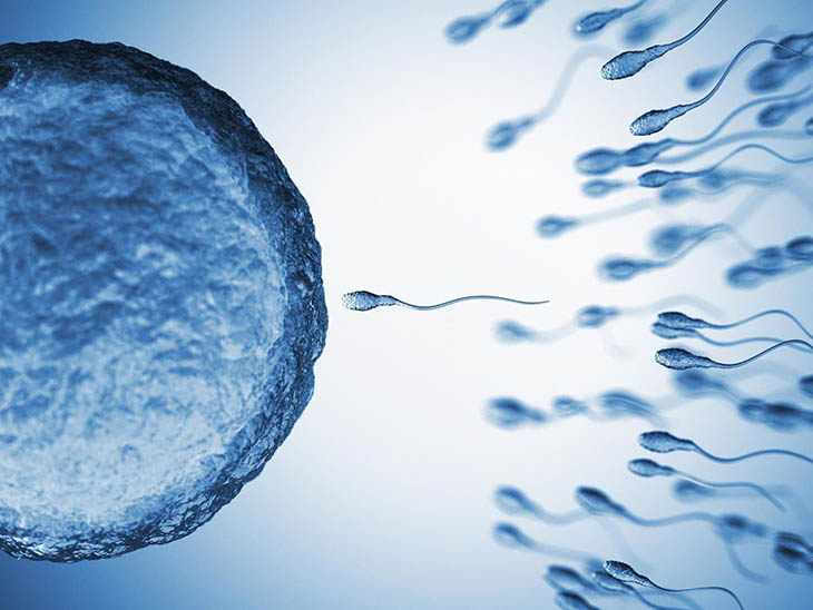 Nam giới khó có thể có con khi tinh trùng yếu và chết trước khi gặp được trứng
