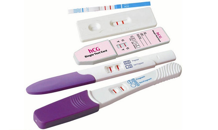 Que thử thai hoạt động dựa trên sự biến đổi nồng độ HCG trong cơ thể