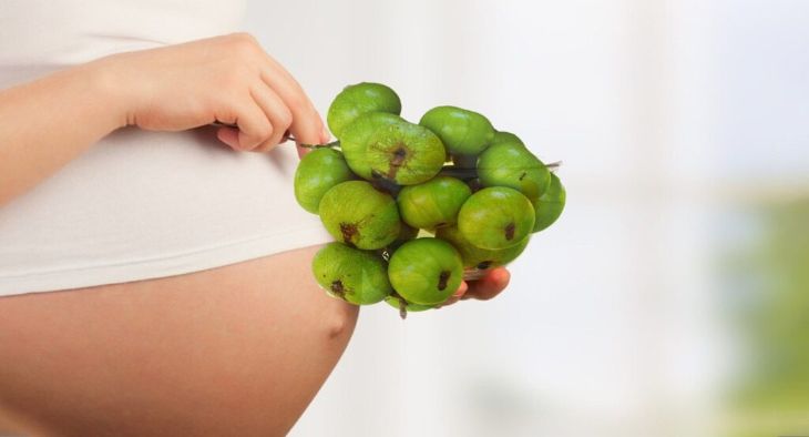 Tránh sử dụng trái sung trị sỏi mật trong 3 tháng đầu thai kỳ