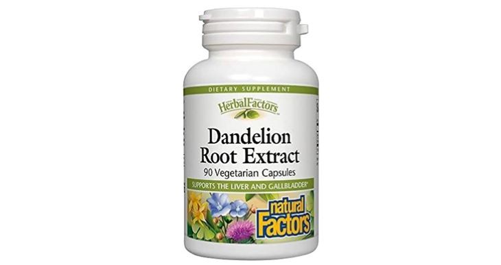 Thuốc hỗ trợ điều trị sỏi mật Dandelion Root Extract