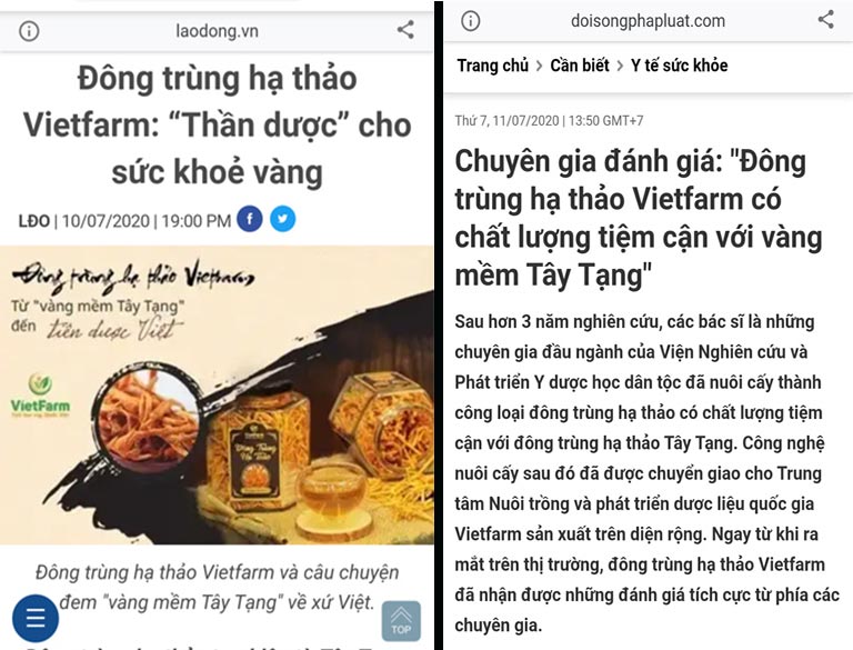 Các thời báo uy tín hàng đầu hiện nay đánh giá cao về chất lượng ĐTHT Vietfarm, tiệm cận so với ĐTHT Tây Tạng đắt giá