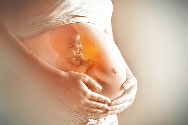 Phụ nữ mang thai không nên dùng đông trùng hạ thảo