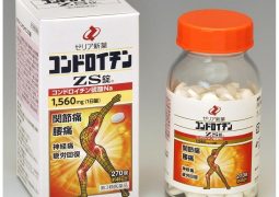 Thuốc đau xương khớp của Nhật – ZS Chondroitin