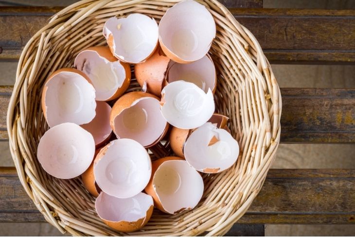 Cách chữa dạ dày bằng vỏ trứng không phải ai cũng biết