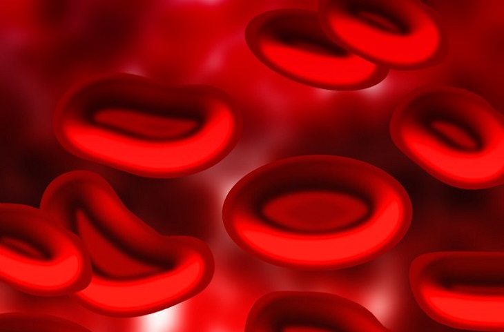 Cơ sở của nguyên tắc truyền máu ở người