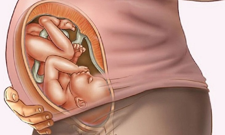 Sự phát triển của thai nhi thể hiện qua sự chuyển dạ của mẹ bầu