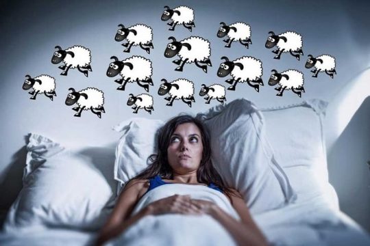 Mất ngủ đếm cừu là bài tập tinh thần được rất nhiều người áp dụng khi gặp phải tình trạng khó ngủ