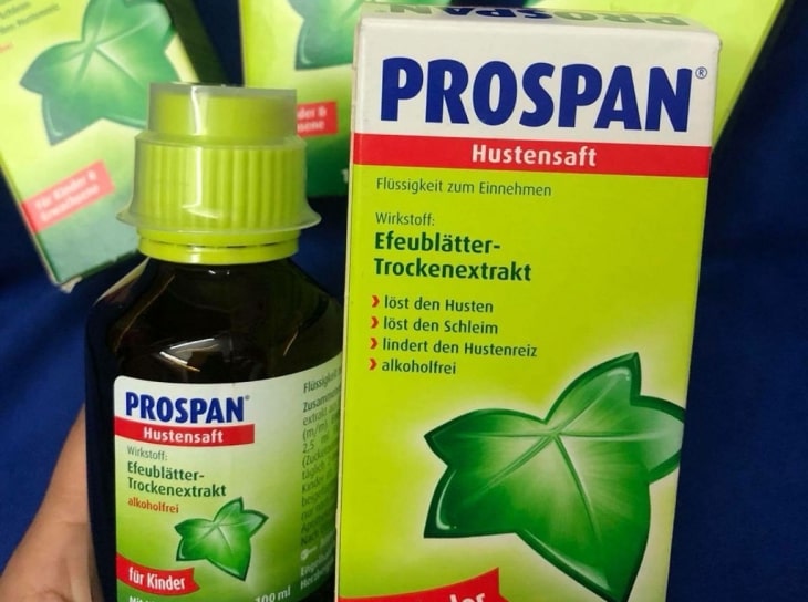 Tinh chất thuốc ho Prospan được chiết xuất từ lá cây thường xuân và không chứa đường, chất tạo màu