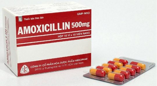 Amoxicillin là kháng sinh đặc hiệu được chỉ định dùng để ức chế hoạt động của vi khuẩn Hp