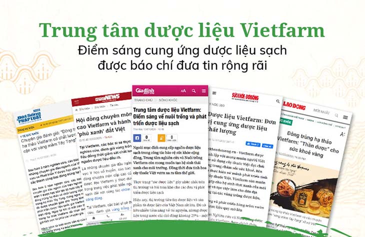 Một số trang báo lớn trên cả nước đưa tin về Trung tâm Nghiên cứu và Nuôi trồng Dược liệu Vietfarm