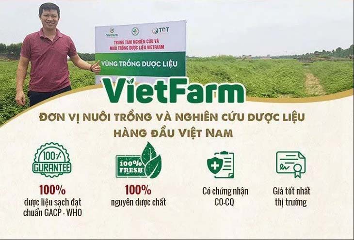 Vietfarm sở hữu những vùng nuôi trồng chuyên canh hữu cơ đạt chuẩn