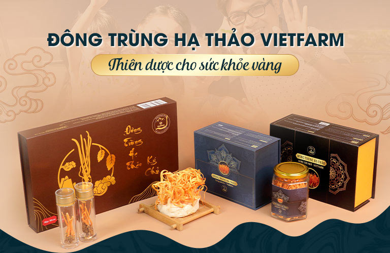 tra dong trung ha thao
