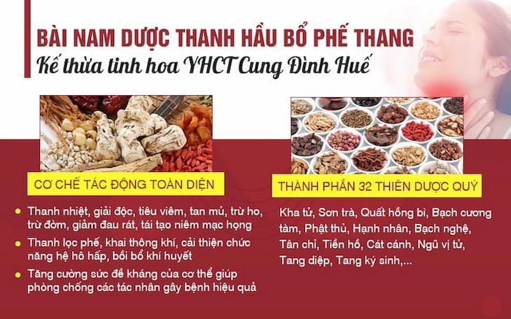 Bài thuốc bí truyền từ Ngự y triều Nguyễn Thanh Hầu bổ phế thang