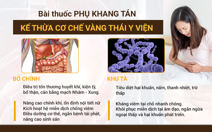 Phụ Khang tán điều trị viêm lộ tuyến từ gốc đến ngọn theo cơ chế của Thái Y Viện Triều Nguyễn