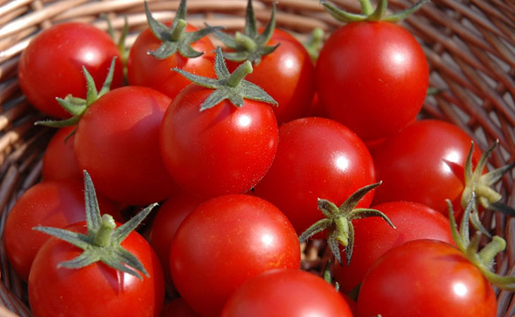 Đắp mặt bằng cà chua giúp giảm tình trạng nám da