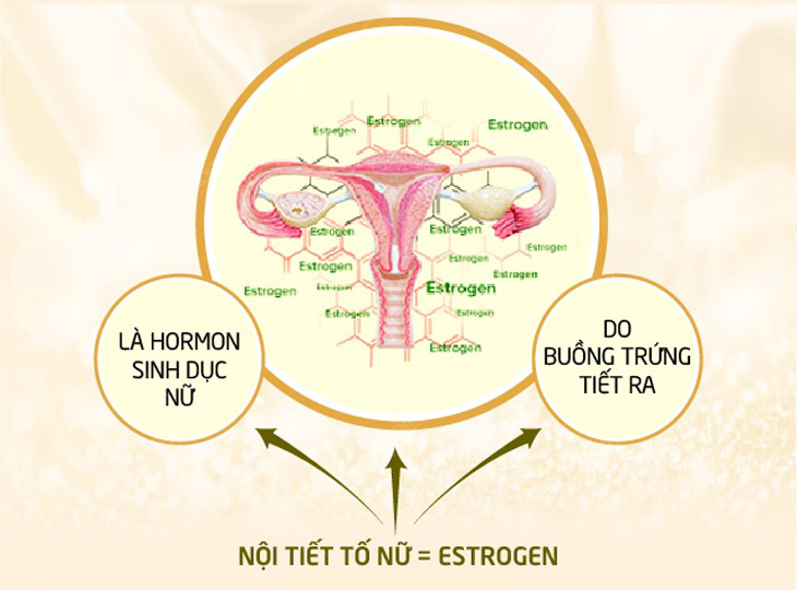 Yếu sinh lý nữ do suy giảm nội tiết tố Estrogen