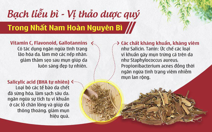 Bạch liễu bì - Thành phần thảo dược quý có trong liệu trình xử lý mụn Nhất Nam Hoàn Nguyên Bì