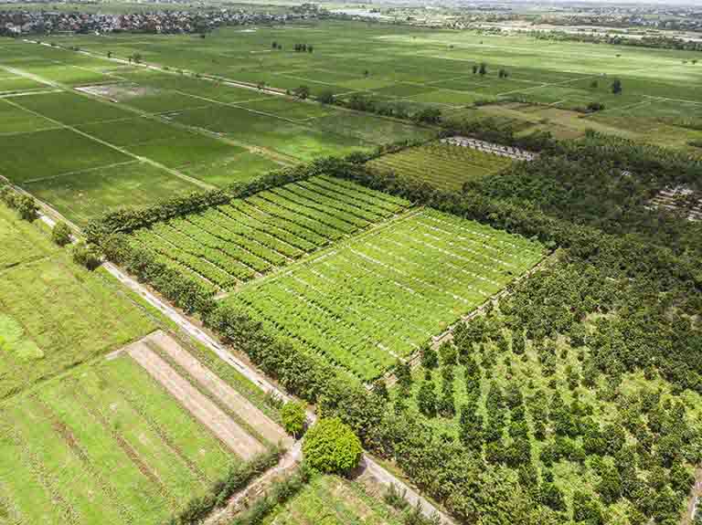 Trung tâm Da liễu Đông y Việt Nam tự chủ xây dựng các vườn dược liệu hữu cơ