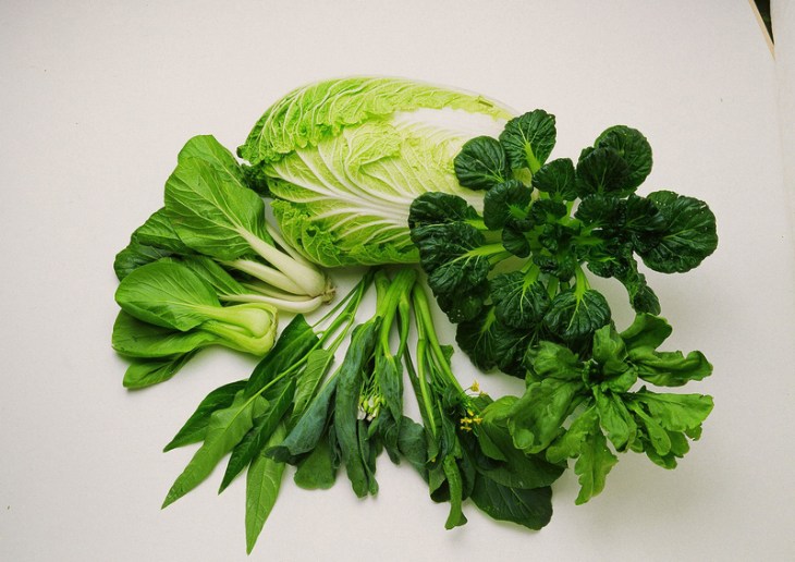 Người bệnh nên ăn nhiều rau xanh hữu cơ