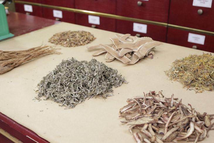 Ngải diệp được kết hợp cùng nhiều thảo dược khác để nâng cao hiệu quả của bài thuốc cổ triều Nguyễn