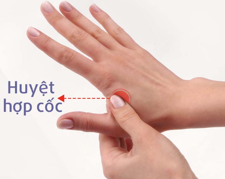 Huyệt hợp cốc nằm ở trên bàn tay, giữa ngón trỏ và ngón cái