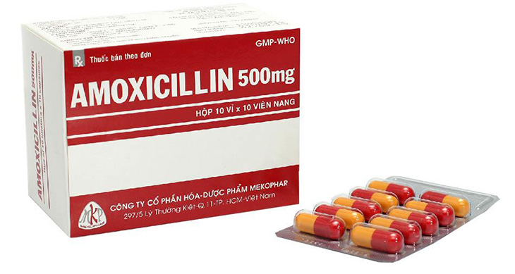 Thuốc chữa viêm xoang mãn tính Amoxicillin hiệu quả cao