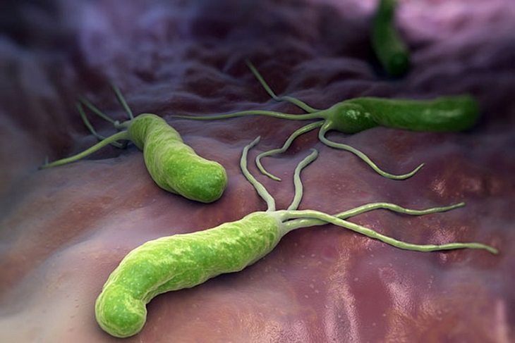 Hình ảnh vi khuẩn HP dạ dày