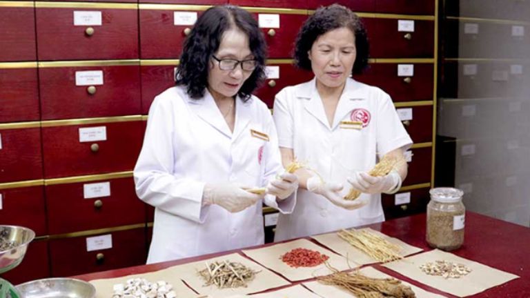 Bác sĩ Vân Anh và bác sĩ Lê Phương nghiên cứu thảo dược