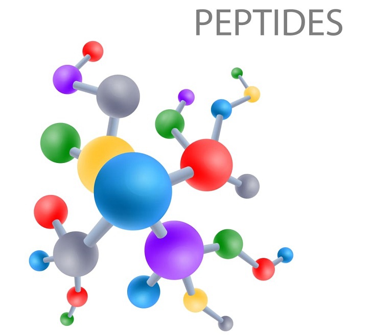peptide 