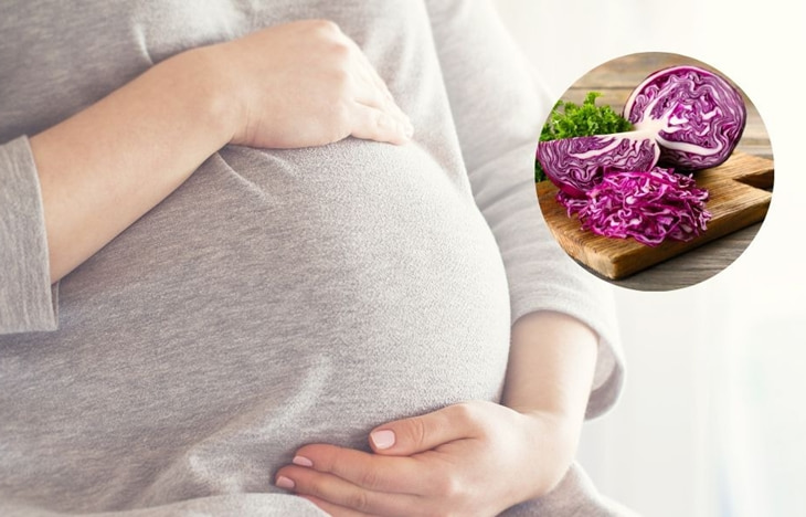 Bắp cải mang lại nhiều lợi ích cho mẹ bầu trong thai kỳ